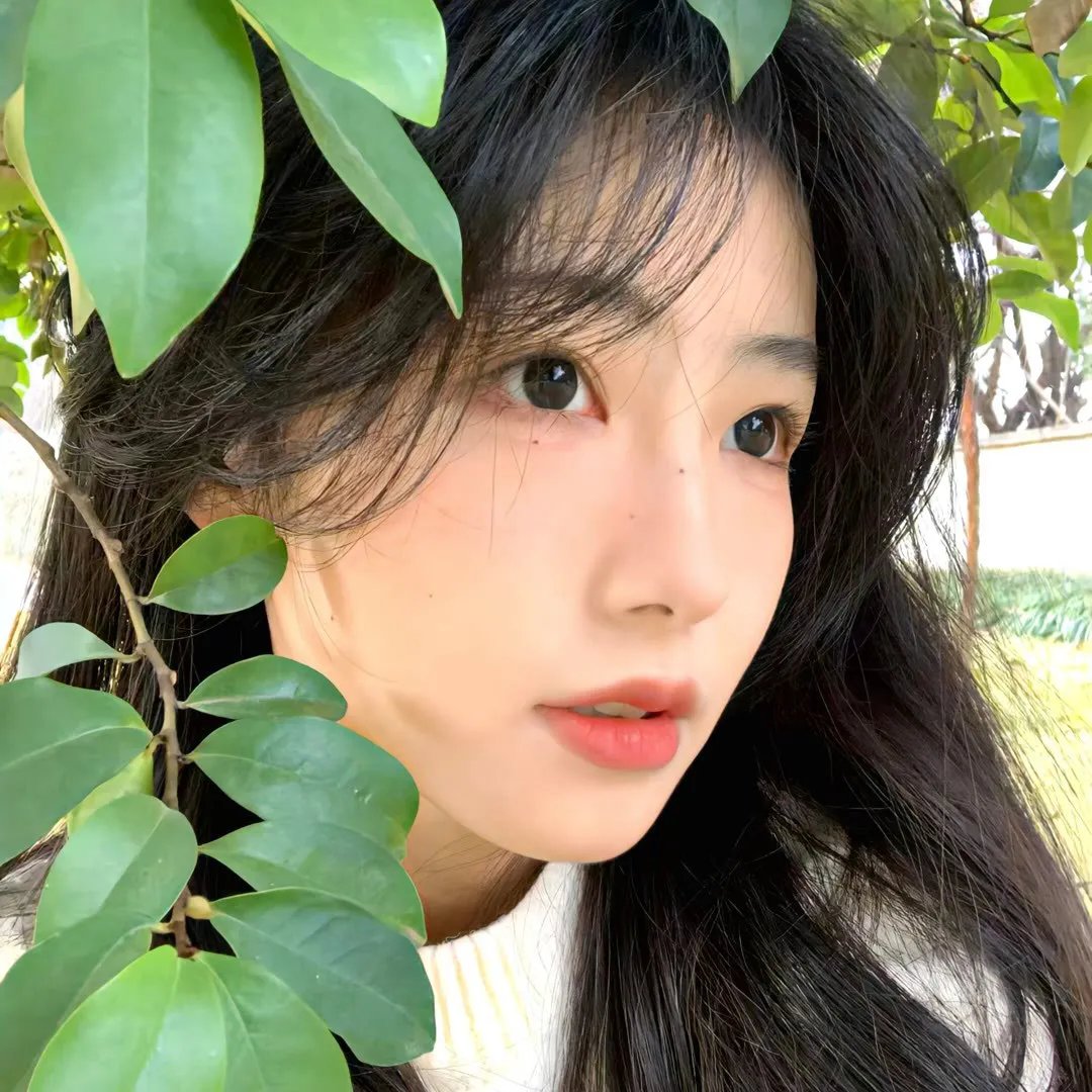 矢野同学的普通日常